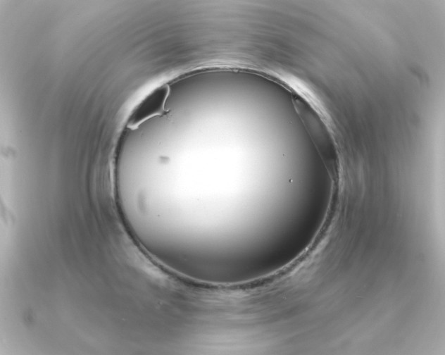 X0000090721238200708101547