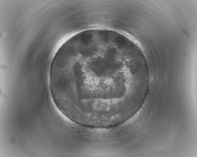 X0000090721239200708101547