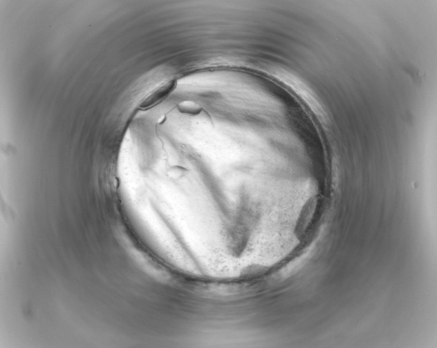 X0000090721241200708101547