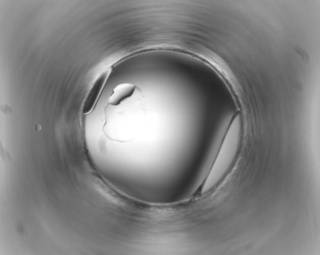 X0000090721242200708101547