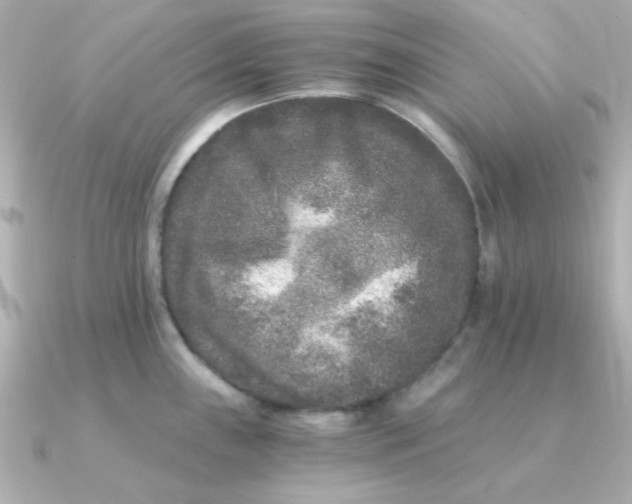 X0000090721243200708101547