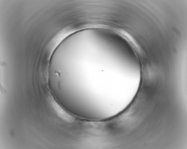 X0000090721244200708101547