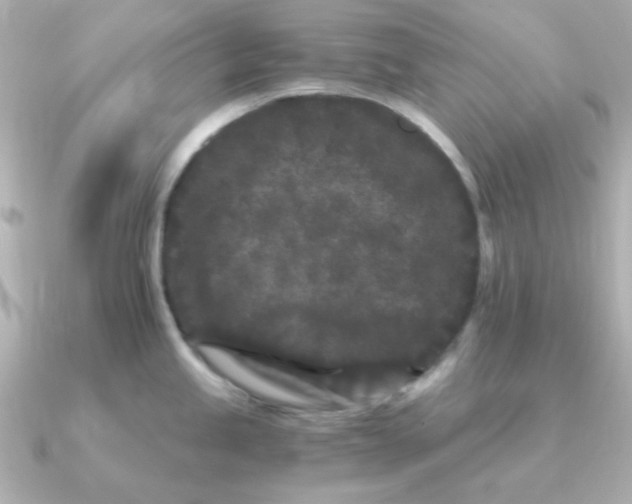 X0000090721245200708101547