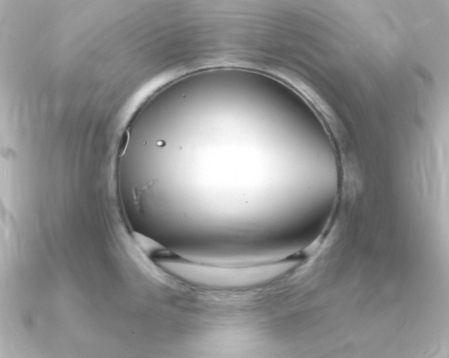 X0000090721246200708101547