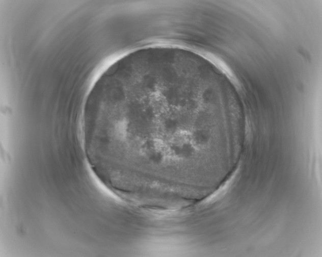 X0000090721247200708101547