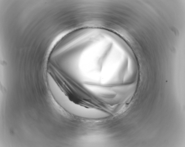 X0000090721248200708101547