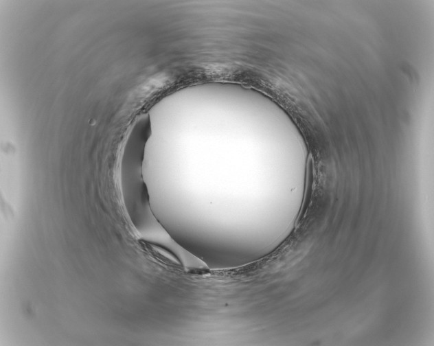 X0000090721249200708101546