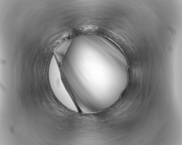 X0000090721250200708101546