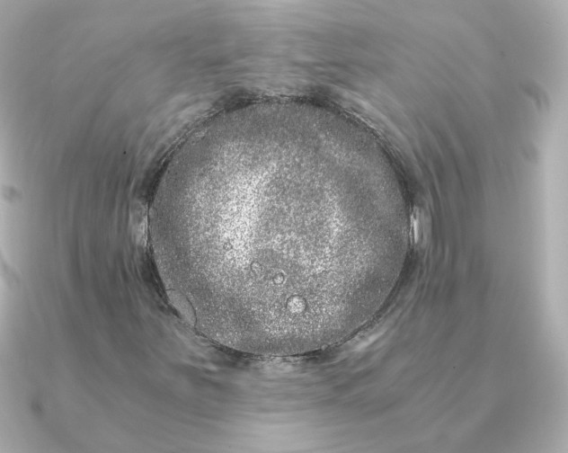 X0000090721251200708101546