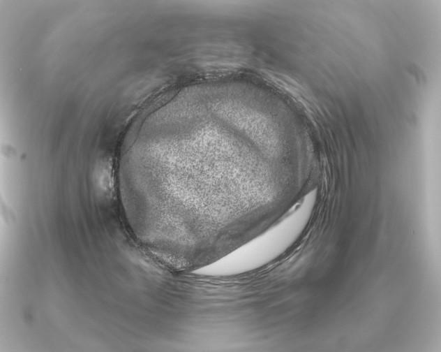 X0000090721252200708101546