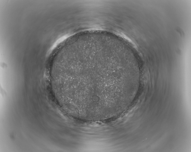 X0000090721255200708101546