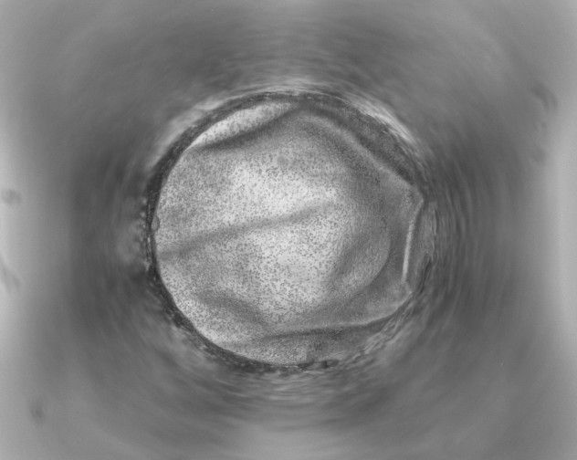 X0000090721256200708101546