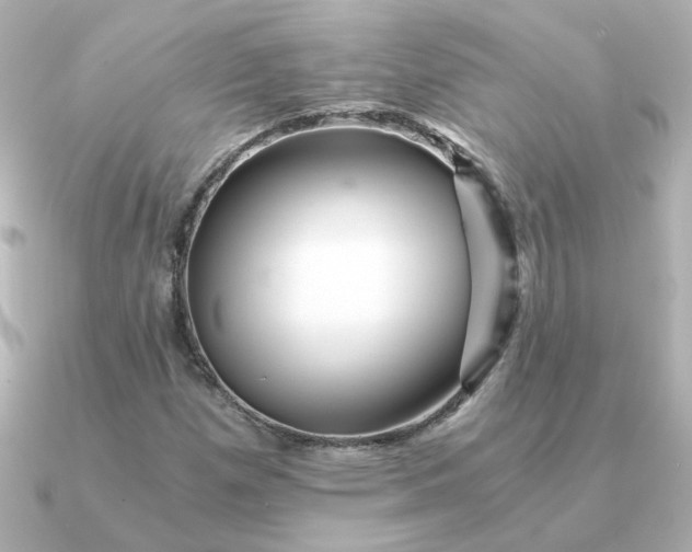 X0000090721257200708101546