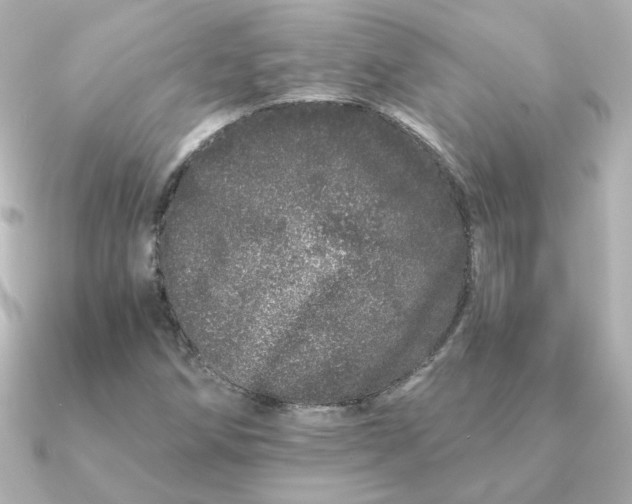 X0000090721258200708101546