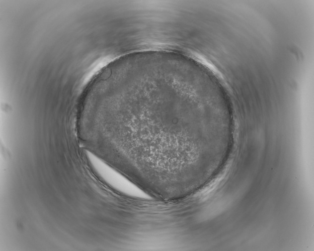 X0000090721259200708101546