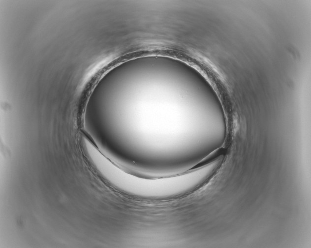 X0000090721261200708101546