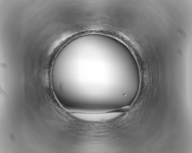 X0000090721262200708101546