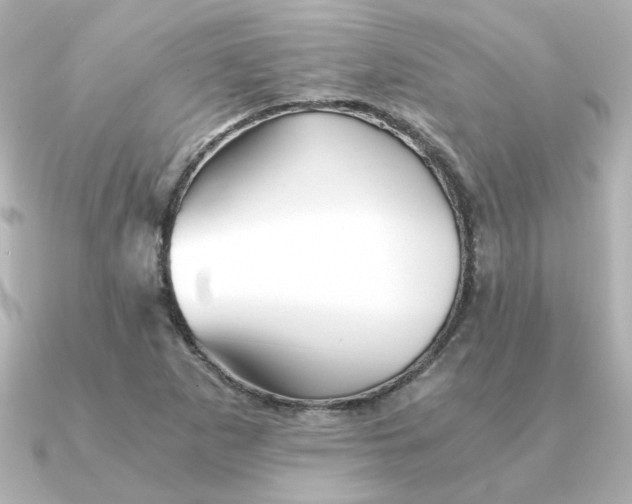 X0000090721265200708101546