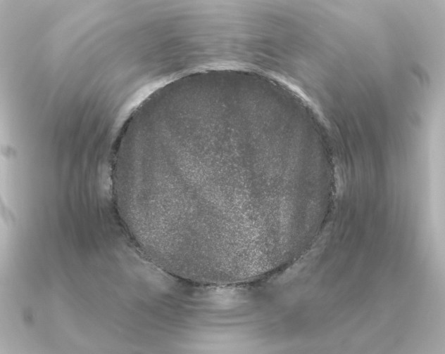 X0000090721266200708101546