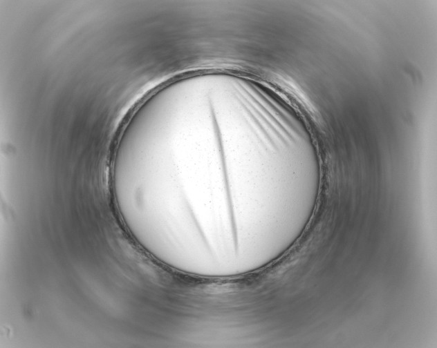 X0000090721268200708101546