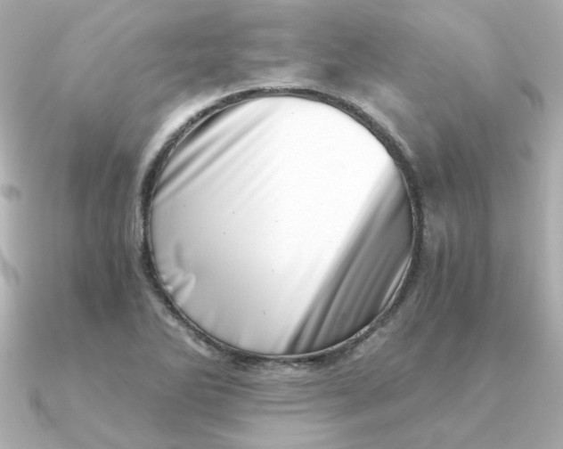 X0000090721270200708101546