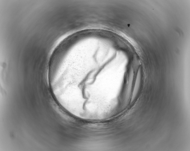 X0000090721272200708101546