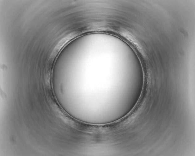 X0000090721273200708101546