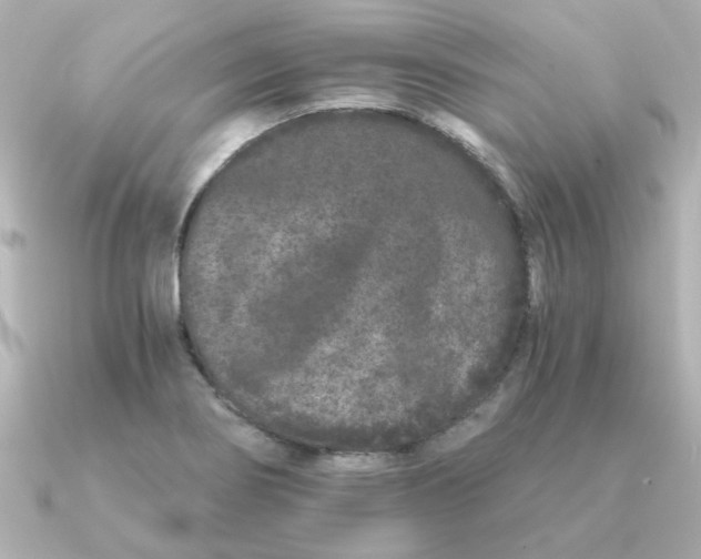 X0000090721274200708101546