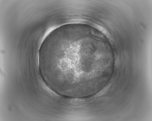 X0000090721275200708101546