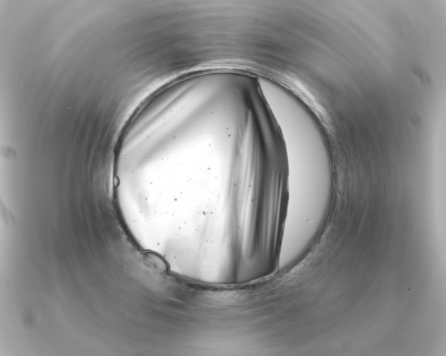 X0000090721276200708101546