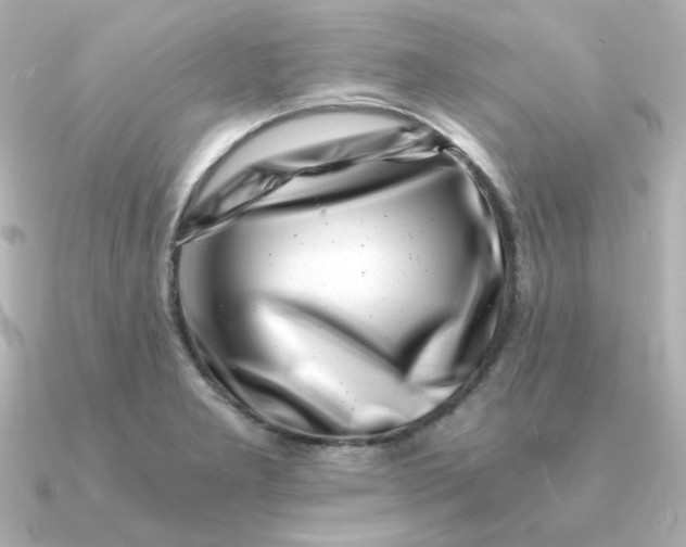 X0000090721277200708101546