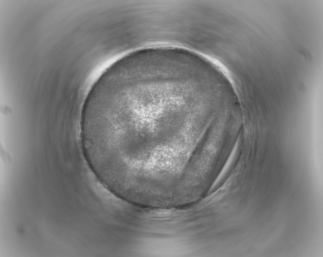 X0000090721279200708101546