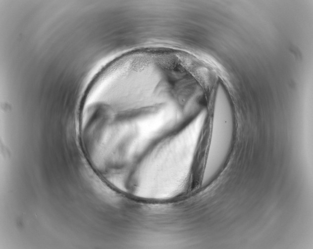 X0000090721280200708101546