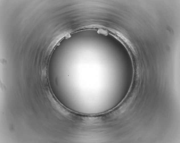 X0000090721281200708101546
