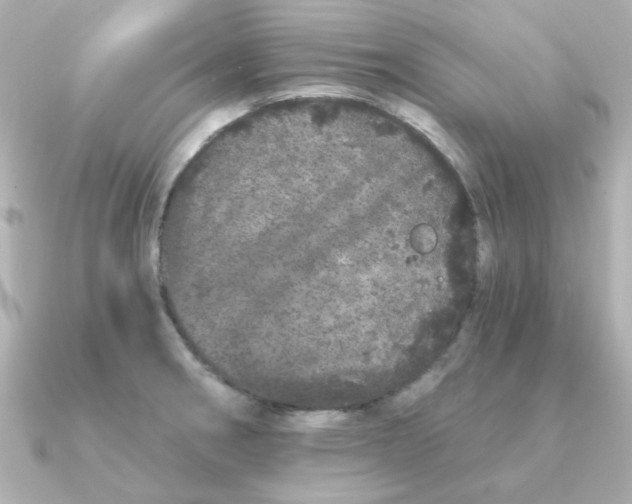 X0000090721282200708101546