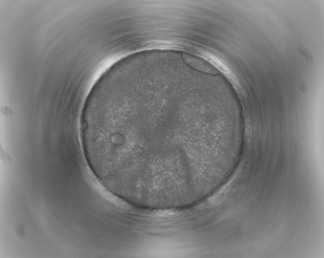 X0000090721283200708101546