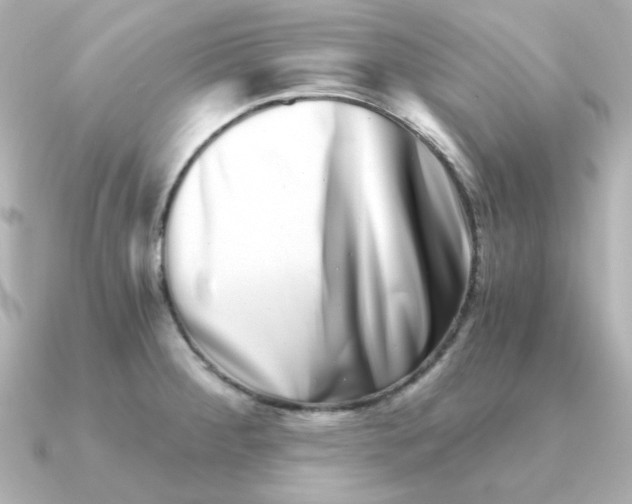 X0000090721284200708101546