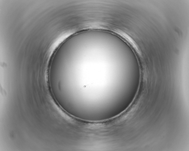 X0000090721285200708101546