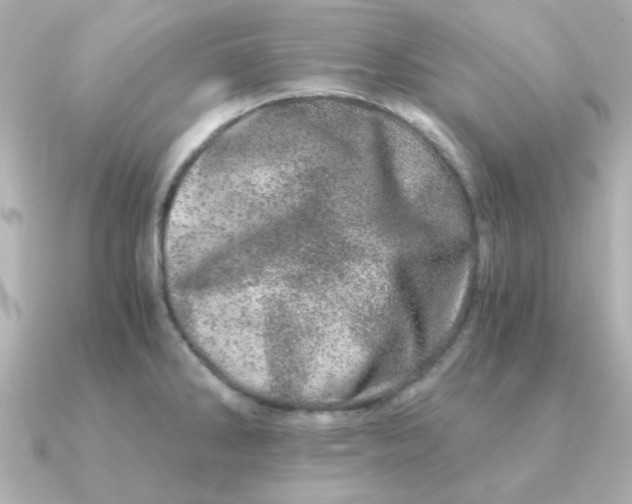 X0000090721286200708101546