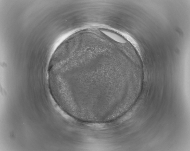 X0000090721287200708101546