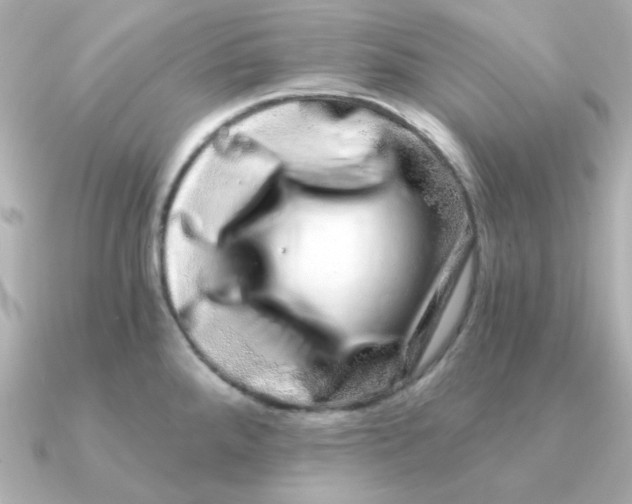 X0000090721288200708101546
