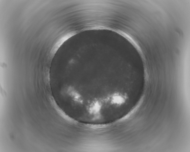 X0000090721289200708101546