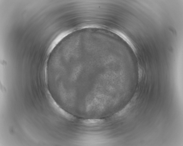 X0000090721290200708101546
