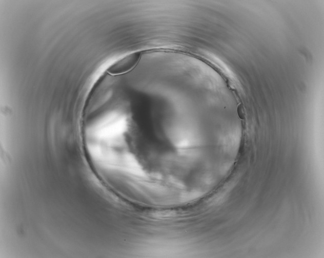 X0000090721291200708101546