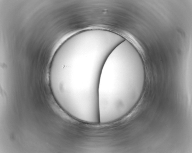 X0000090721292200708101546