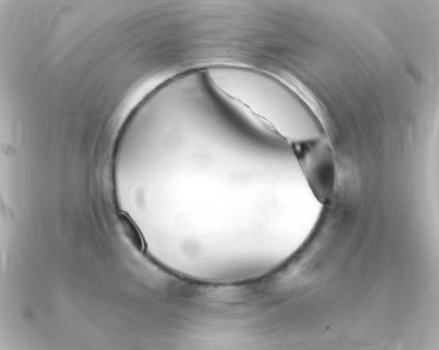 X0000090721293200708101546