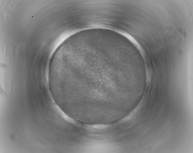 X0000090721294200708101546