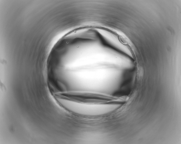 X0000090721295200708101546