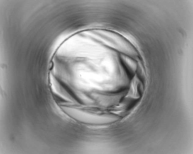 X0000090721296200708101546