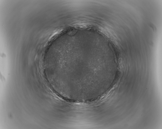 X0000090721297200708101545